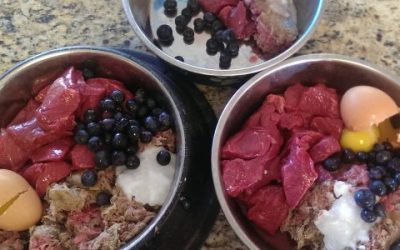 Pets and Nutrition